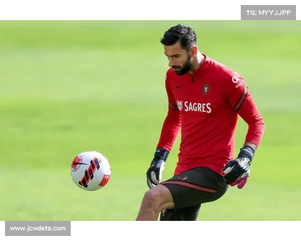 葡萄牙老将佩佩膝伤手术，世界杯前景蒙阴影